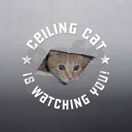 Ceiling Cat